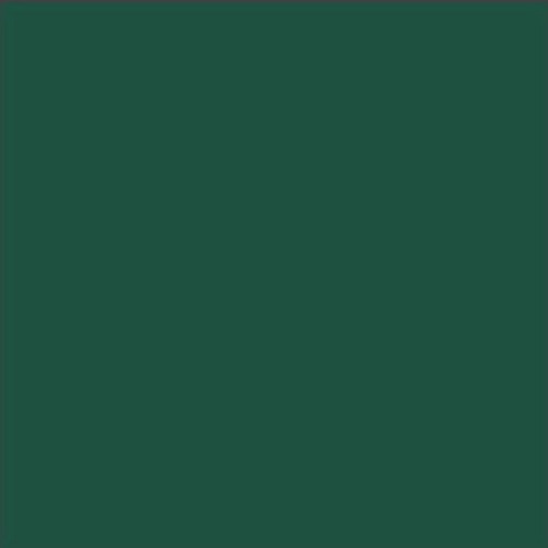 Ral 6005