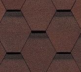 Зрелый каштан