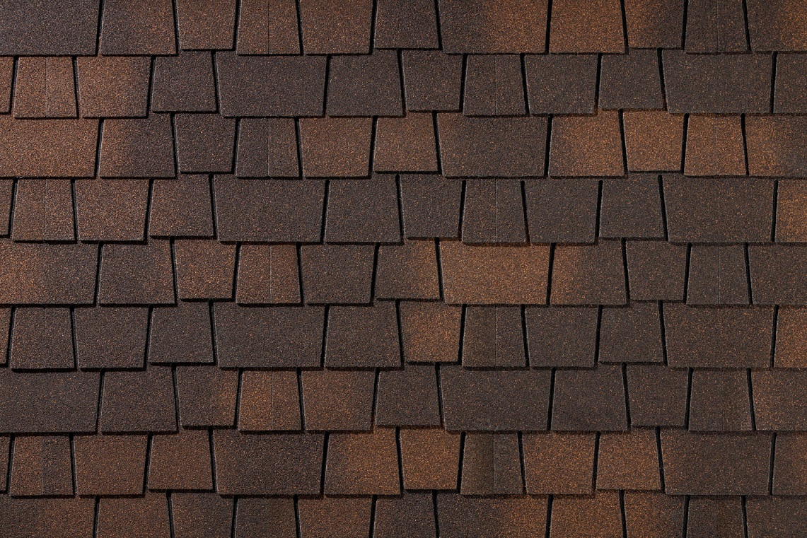 Сибирский кедр