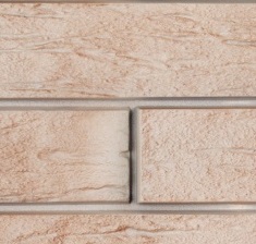 Ригель Немецкий 02