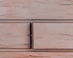 Ригель Немецкий 01