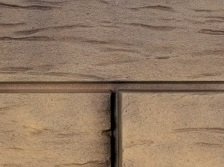 Ригель Немецкий 03