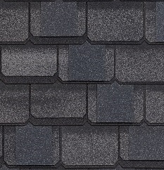 Антарктида