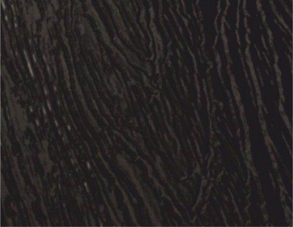 Dark