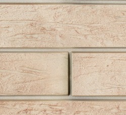 Ригель Немецкий 06