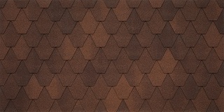Liberica-020