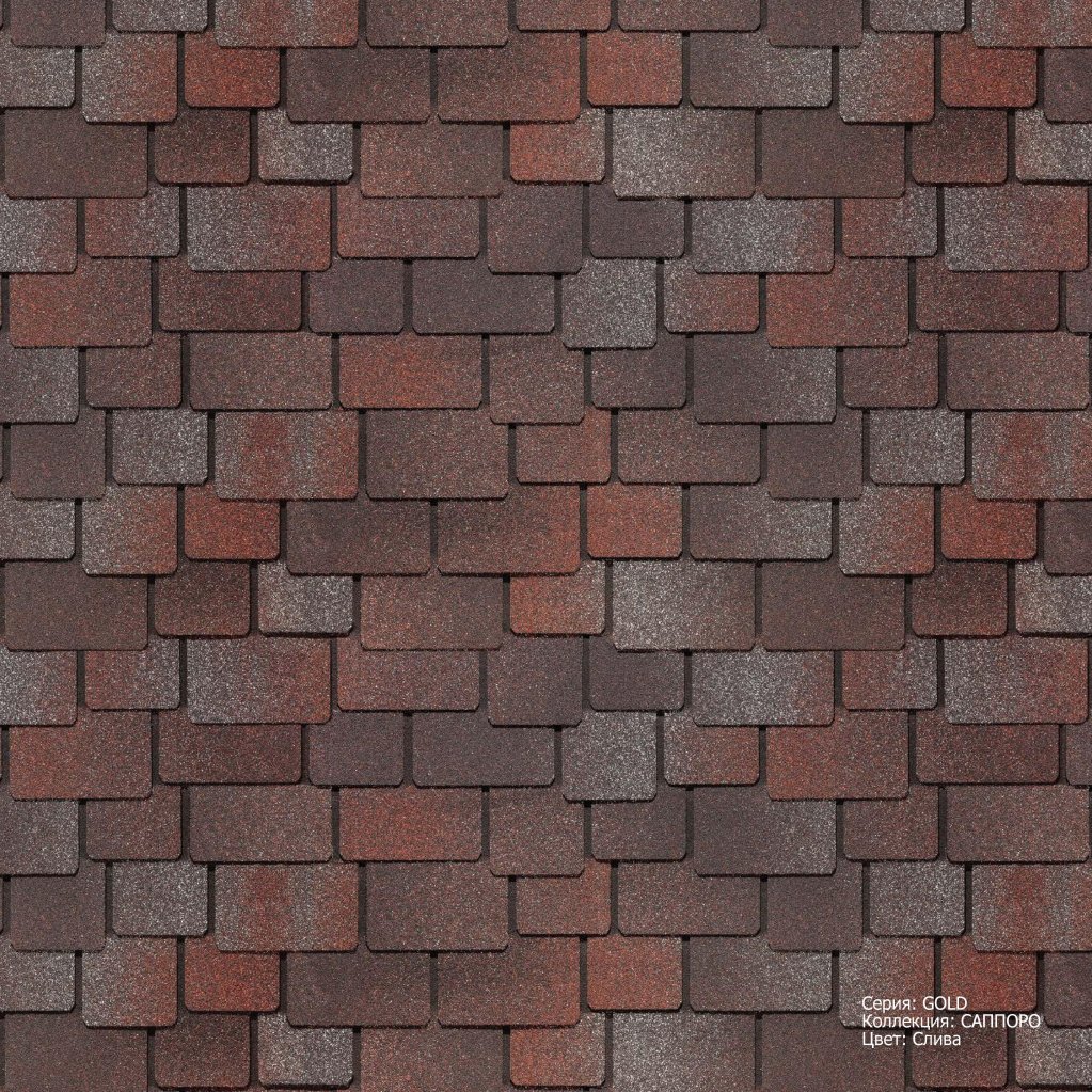 0005.jpg 0005.jpg