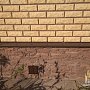 КАНЬОН: Фиброцементная панель Сколотый кирпич