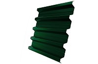 Профнастил H-60 Pe 0,7 мм Ral 6005