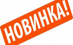 Новинка среди входных дверей Shelter! Уже в наличии на складе Фактум
