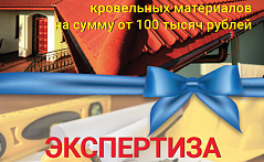 Экспертиза стропильной системы в подарок