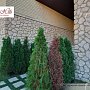White Hills: Искусственный камень Хантли