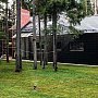 Braas: Цельная черепица Тегалит 420х330 мм