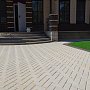 Stein_Rus: Тротуарная плитка Прямоугольник Лайн 80мм Моноколор гладкая